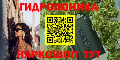 молекула духа Волжский