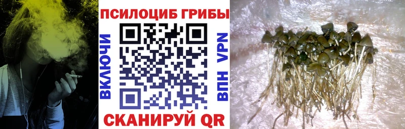 Галлюциногенные грибы GOLDEN TEACHER  где найти наркотики  Железноводск 
