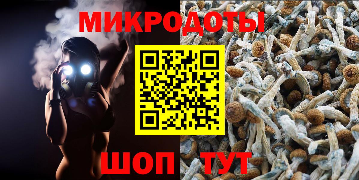 Галлюциногенные грибы Psilocybe Железноводск