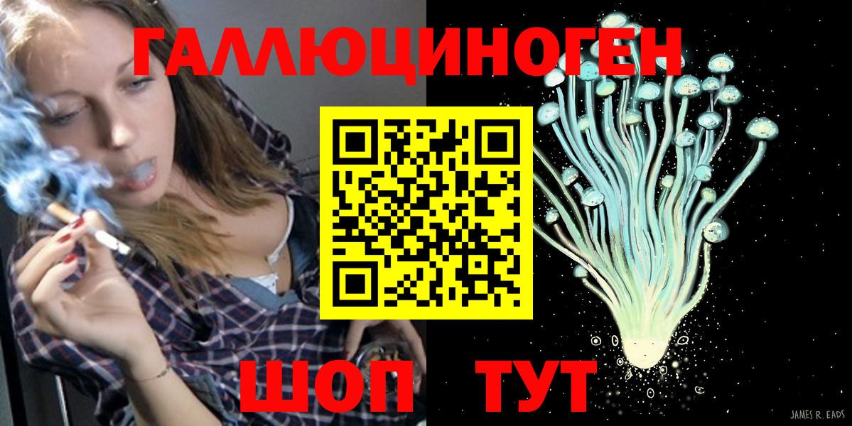 Галлюциногенные грибы Psilocybine cubensis  Вход с VPN  Железноводск 