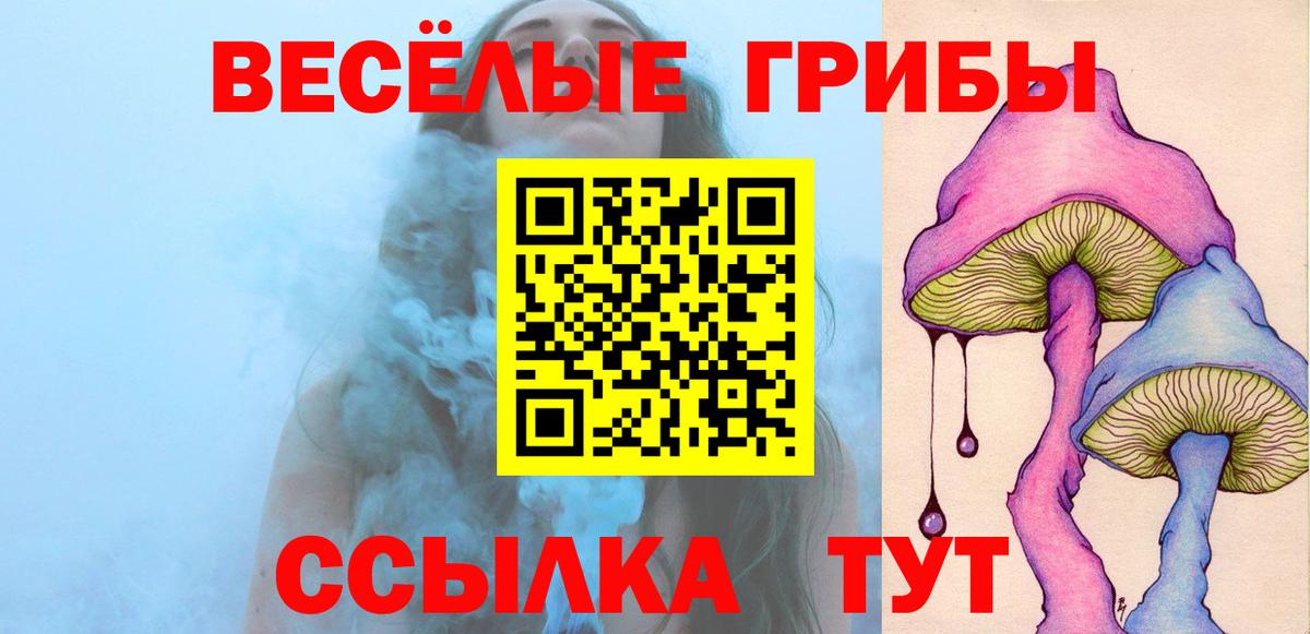 Галлюциногенные грибы GOLDEN TEACHER Железноводск